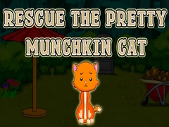 Spill Rescue The Pretty Munchkin Cat