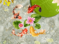 Spill Koi Fish Pond