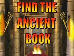 Spill Find The Ancient Book