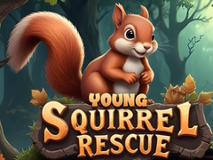 Spill Young Squirrel Rescue