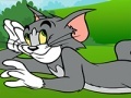 Spill Tom and Jerry ATV Adventure