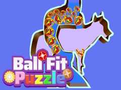 Spill Ball Fit Puzzle