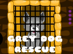 Spill Grey Dog Rescue