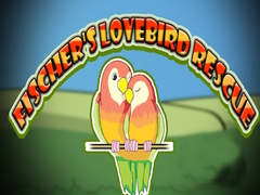 Spill Fischer's Lovebird Rescue