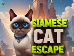 Spill Siamese Cat Escape
