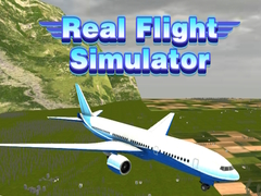 Spill Real Flight Simulator 