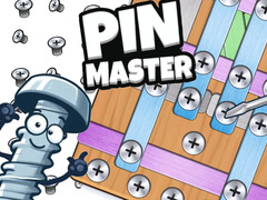 Spill Pin Master