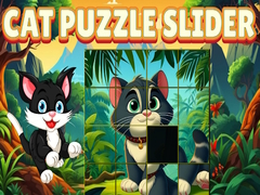 Spill Cat Puzzle Slide