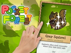Spill Pocket Forest