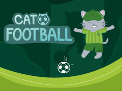 Spill Cat Football
