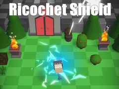 Spill Ricochet Shield