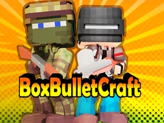 Spill Box Bullet Craft