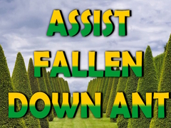 Spill  Assist Fallen Down Ant