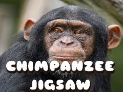 Spill Chimpanzee Jigsaw
