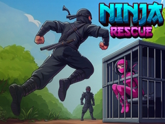 Spill Ninja Rescue