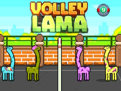 Spill Volley Lama