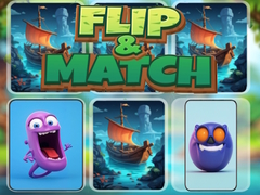 Spill Flip & Match