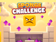 Spill Sponge Challenge