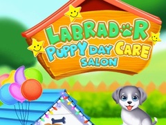 Spill Labrador Puppy Daycare Salon