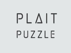 Spill Plait Puzzle