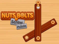 Spill Nuts and Bolts Screw Puzzle