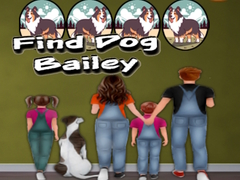 Spill Find Dog Bailey
