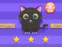 Spill Cat Challenge