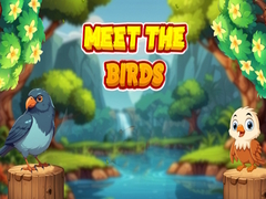 Spill Meet The Birds 