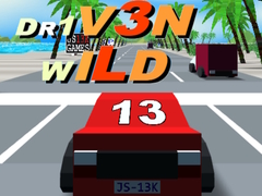 Spill Dr1v3n Wild