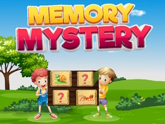 Spill Memory Mystery