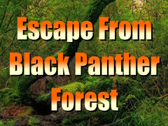 Spill Escape from Black Panther Forest