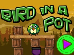 Spill Bird In A Pot