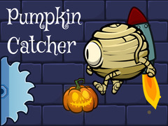 Spill Pumpkin Catcher