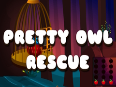 Spill Pretty Owl Rescue