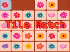Spill Tile Match