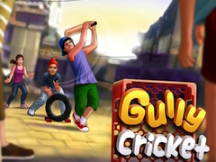 Spill Gully Cricket