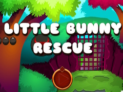 Spill Little Bunny Rescue