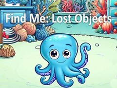Spill Find Me: Lost Objects