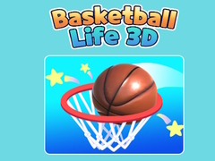Spill Basketball Life 3D