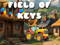 Spill Field of Keys