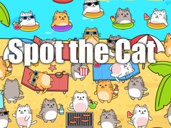 Spill Spot the Cat