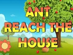 Spill Ant Reach the House