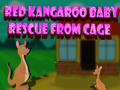 Spill Red Kangaroo Baby Rescue from Cage