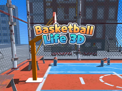 Spill Basketball Life 3D