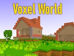 Spill Voxel World