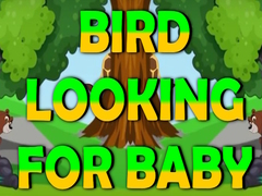 Spill Bird Looking For Baby