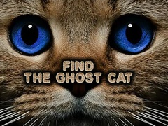 Spill Find the Ghost Cat