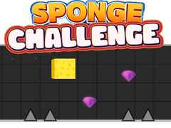 Spill Sponge Challenge