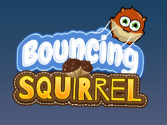 Spill Bouncing Squirrel