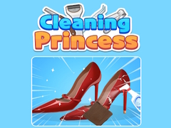 Spill Cleaning Princess